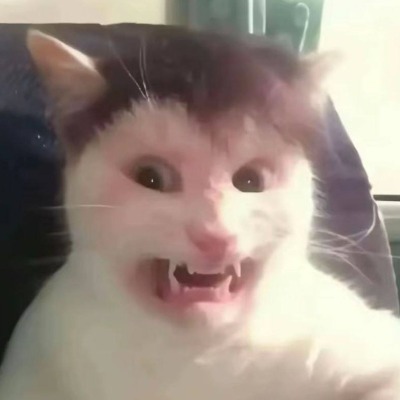 Котяна