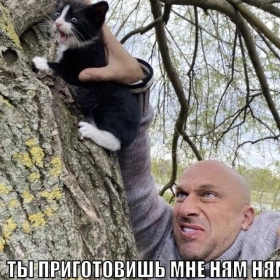 Беба8756