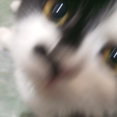 nnikswqs