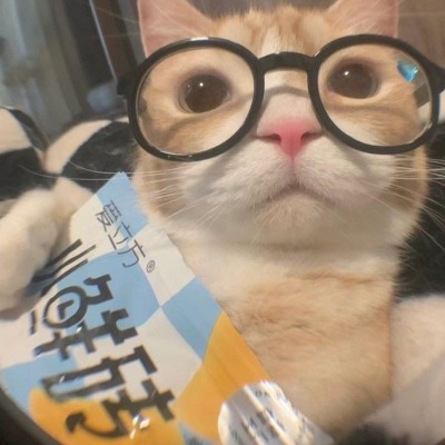Hoshi_san