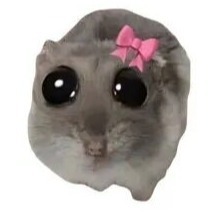 Laramysa