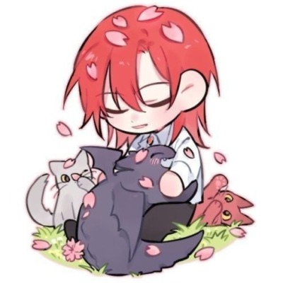 lapcukangelina