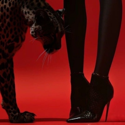 shamsefendi08
