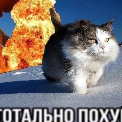 Yapodza_Borom