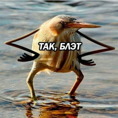 Куин невер край