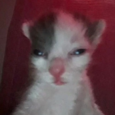 Broni