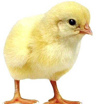 samianan