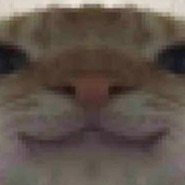 Account_142p0
