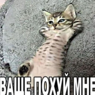 alisa_228al