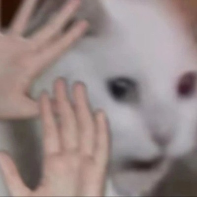 kittyloli7557467