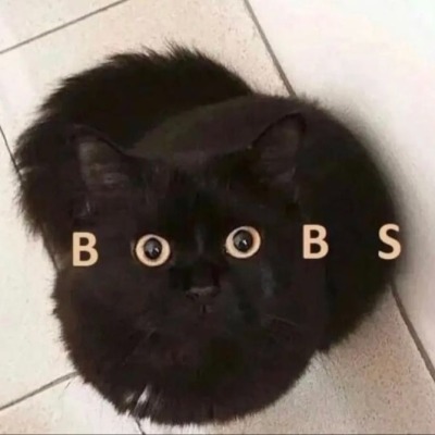 Смущённый клён