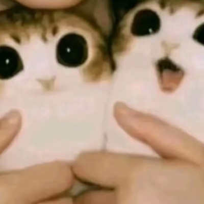 Meowl ee