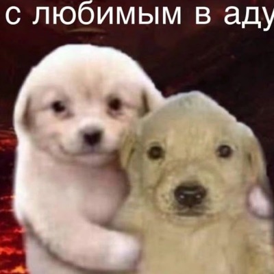 Слепозмей