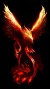 Asante Fenix