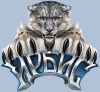 Ирбис!   Snow Leopard!
