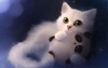 КошкинДом