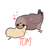 TOM