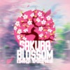 Sakura Blossom