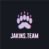 Jakins.team