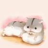 Хомячки ♡