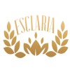 Esclaria Team