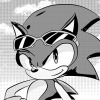 hedgehog team