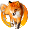 Fox Kingdom Team