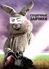 Солнечные зайчики