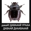 ₽убль