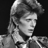 Bowie supermacy