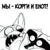 Корги и Енот
