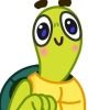 Cozy turtle