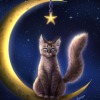 Lunar cat