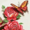 irin70