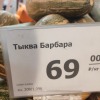 alinashluha