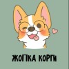 Жопка корги