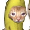 секси котик бананчик
