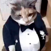 Moonakana