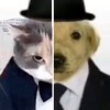Жмарио и Эджиджи