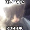Miirrey