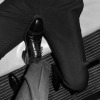 Asmodeus_f
