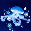 Moon Jellyfish