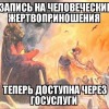 Акито из пробирки