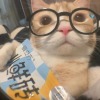 Hoshi_san
