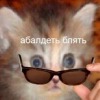 Кот Белиара