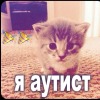 Можно РАФ