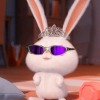 Quickrabbit7