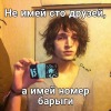 философская креветка