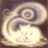 nymphis