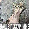 alisa_228al